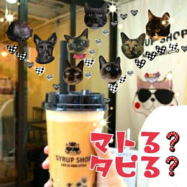 7151191c 55ec 416b b501 4a5bafe1d276 1555074052826