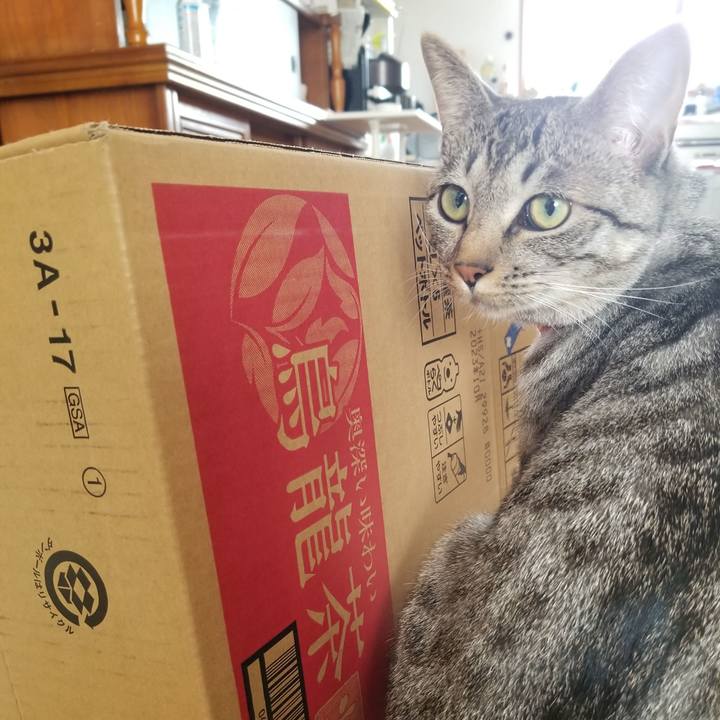 71511ba8 b110 4381 aa8e 028e5ff54de3 1682813868431