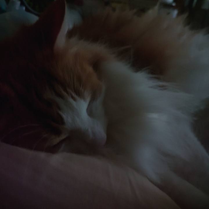 71515780 443a 4501 b7a0 ee9775876f3c 1685804996761