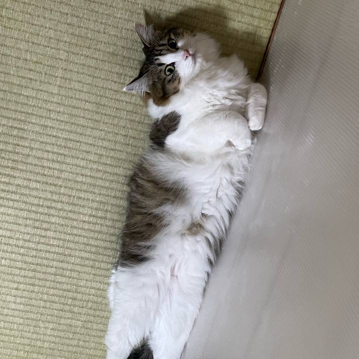 715165d9 4f5a 472f a8e9 7862dea9f688 1724799283922