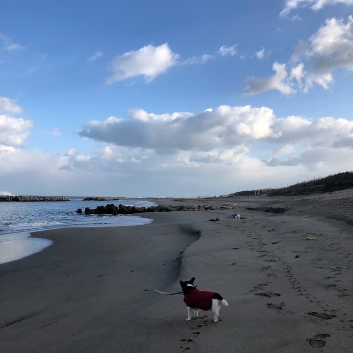 71517ce2 d049 4c2f a017 1ee83a64a234 1547861754428