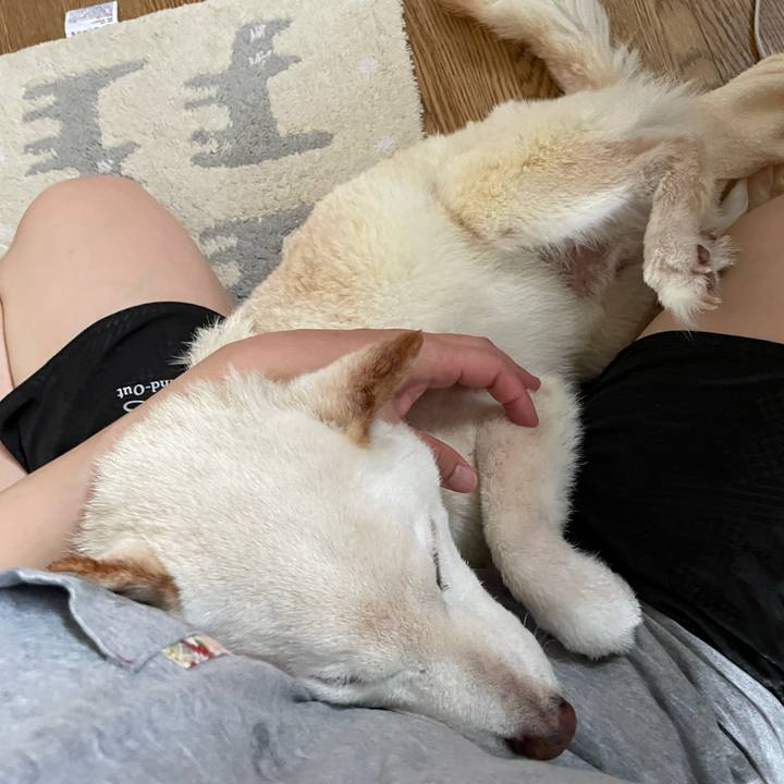 71519ec7 1c28 478a a388 a20e56c59e31 1657777400844