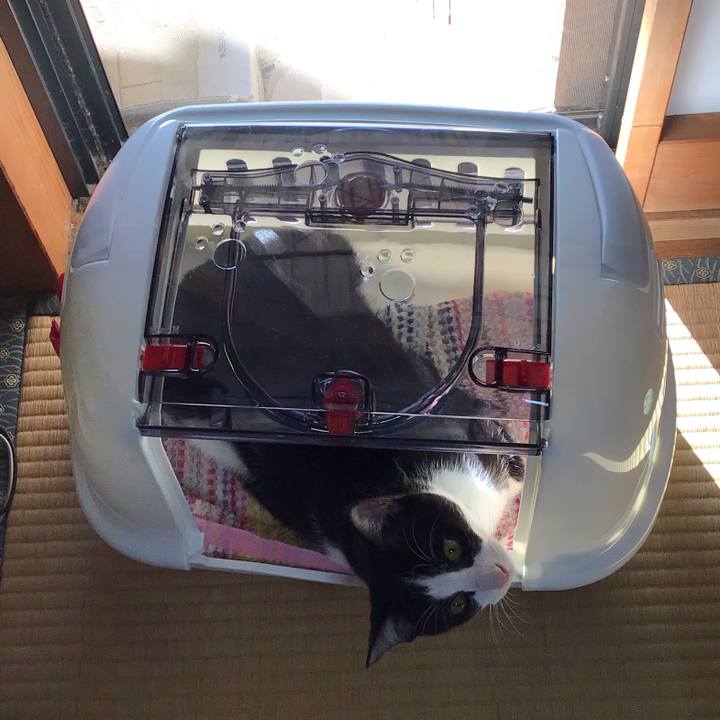 7151eaaa 6dcb 4806 820a cab8eb368f1e 1635234180300