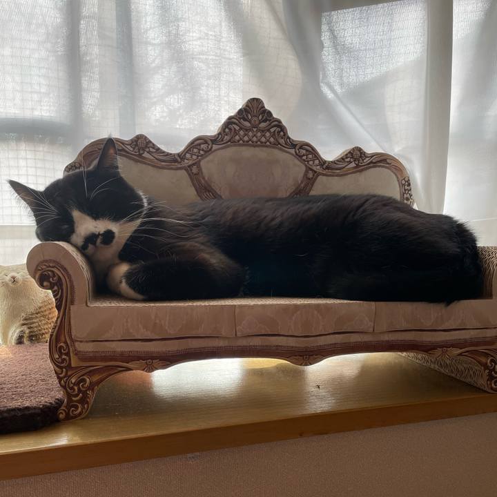 71520e63 b1a1 4076 b875 157f33d2621b 1677194849440