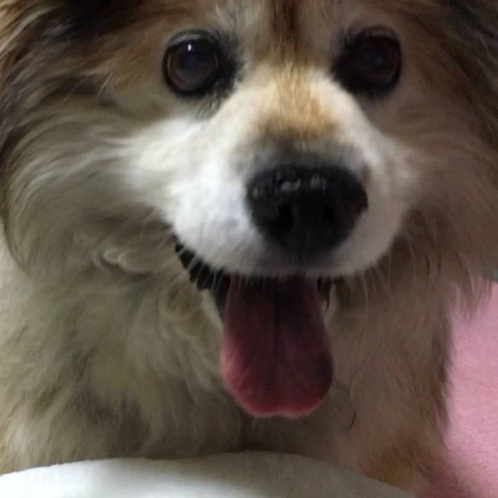 715230e8 5466 4ae9 a09e ea5c956c2279 1603936849359