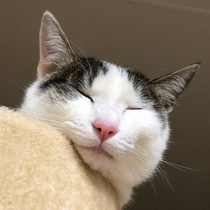 7152328a ff8f 464e 8035 c08c88a987a1 1587042584301