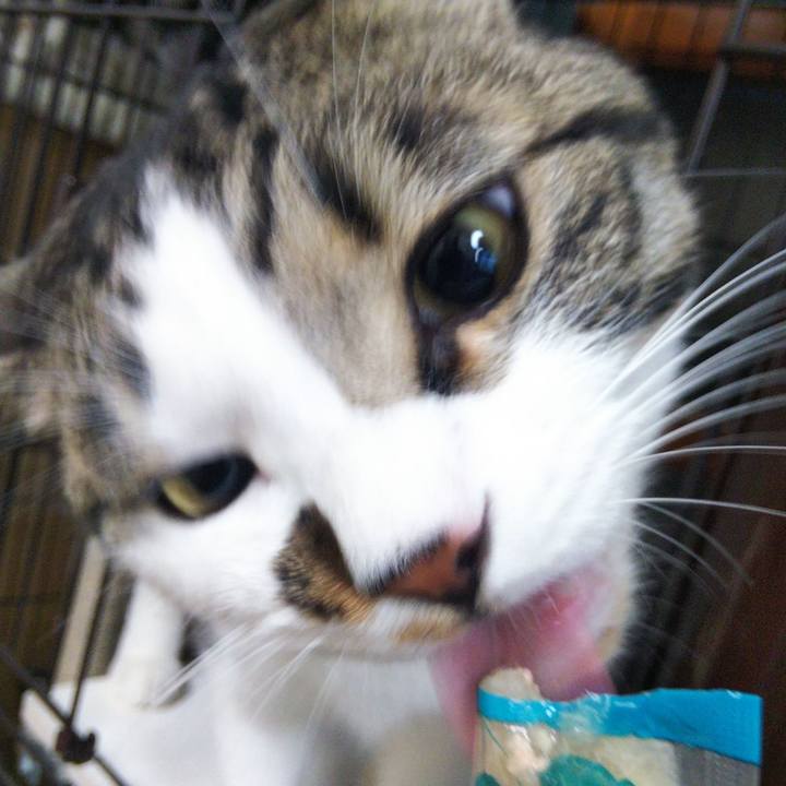 71526f63 e494 4dd9 8958 6ef82757781a 1655986768351