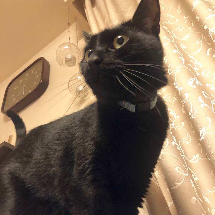 71527db0 a189 4608 96f8 23039f380172 1582540524532