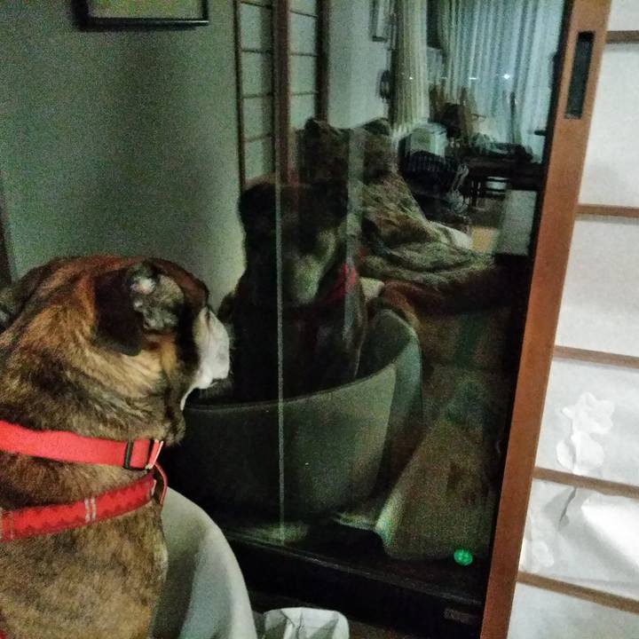 71528fc9 a797 48d4 804e f9a5f12cbe42 1553515302031