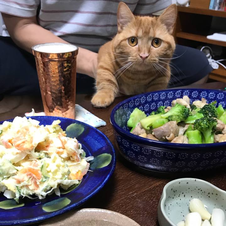 7152bb85 a7ad 47b2 bcbe c70fe43647d9 1531227597750