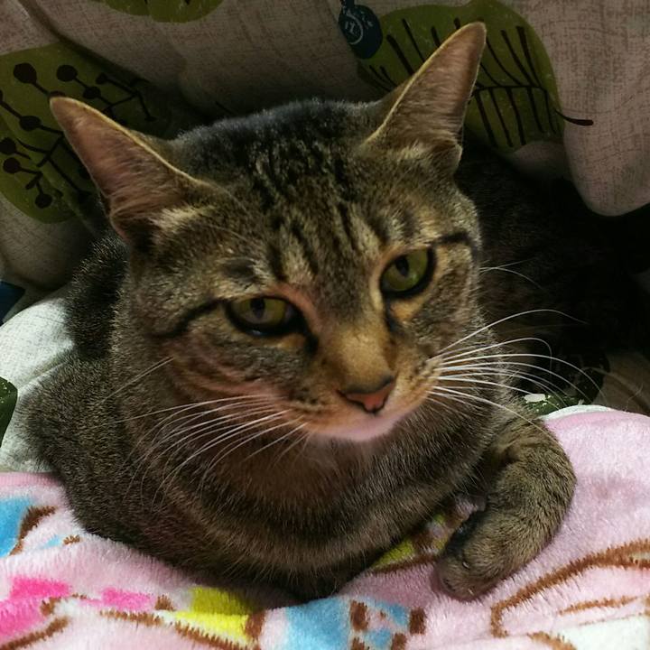 7152da55 f9aa 41d5 af32 ef2839b665ca 1523367451000