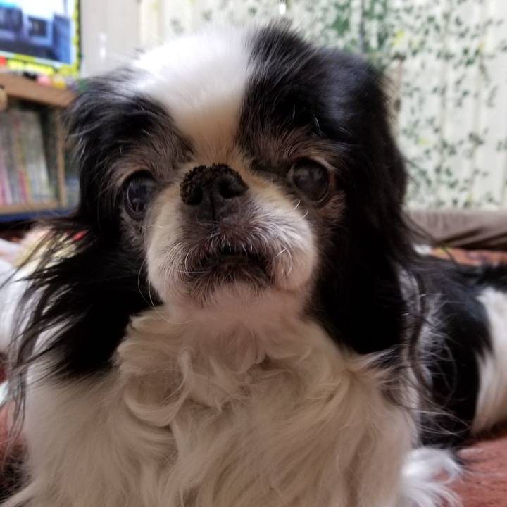 7153135b 4c98 4c14 87f5 6071b275ebf5 1555586577063