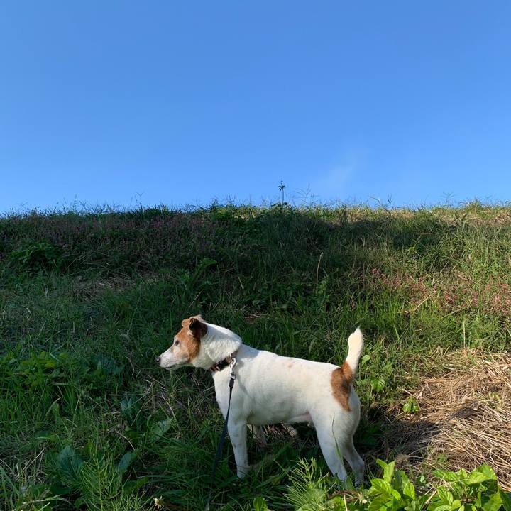 7153165d ff63 4eaf bf62 4eb45e5c4091 1604101337174