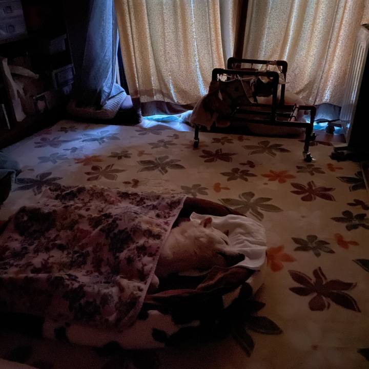 71536889 8f78 4018 bb18 5ae61978cf11 1675892737924