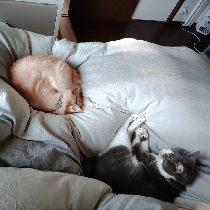 71536d6b 7c7d 4867 af98 6d63a8613a13 1667007276243