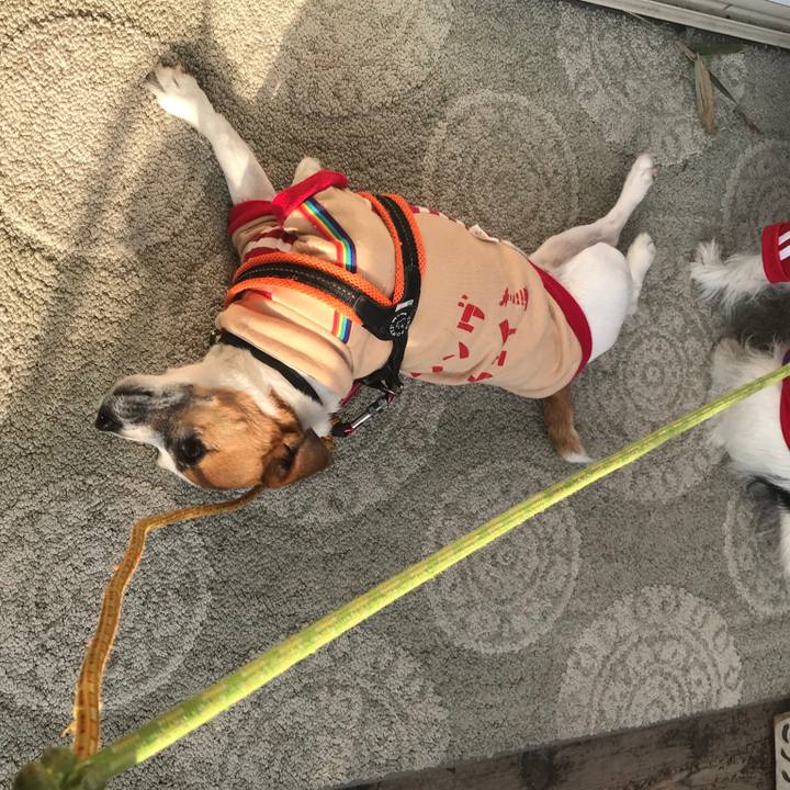 71538067 0dc3 4105 9778 87d85e43b607 1543366924793