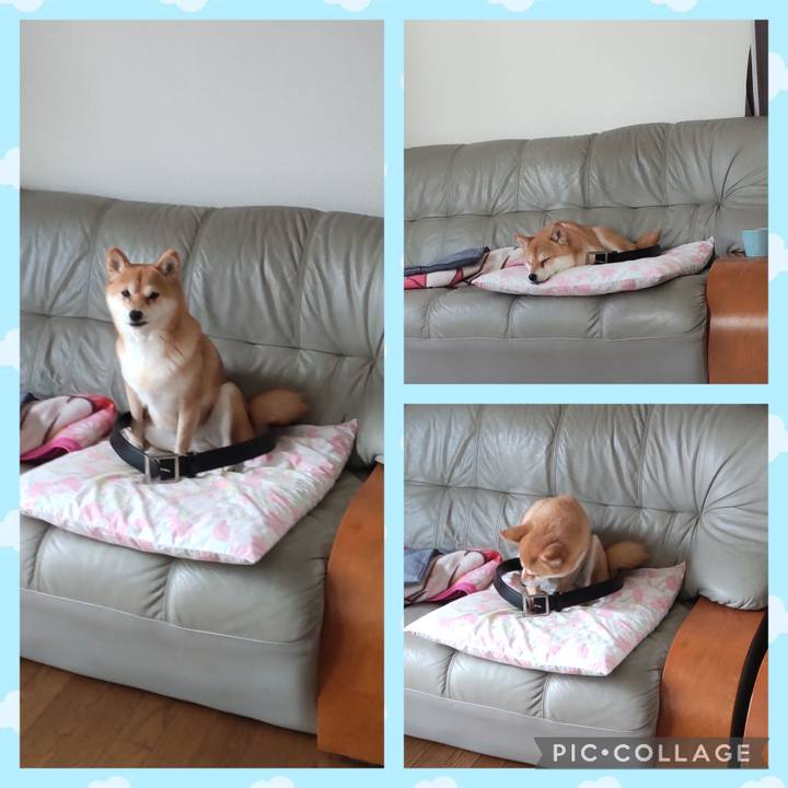 71538ceb e49d 407f a8de 74ef04ff79f8 1734245386636