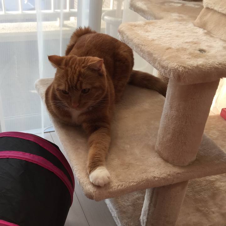 71538d0b 7efc 4783 958f 3b4cd80fa95f 1514246800263