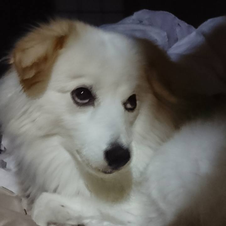 7153aa2e f569 43dc a591 2d8c23eb781b 1509136706430