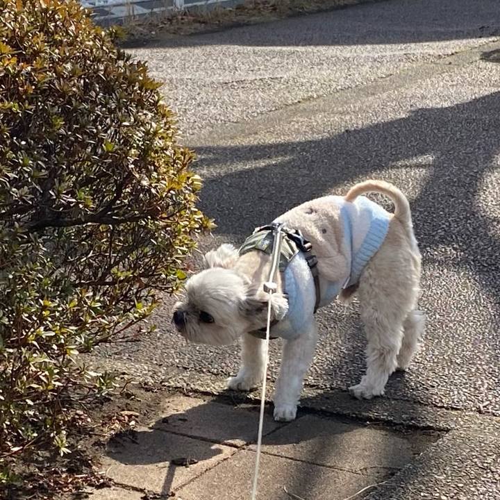 7153c462 4a3e 42f6 b55e b6b369889f17 1739599194548