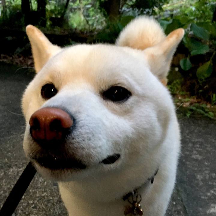 7153fd30 d272 44d3 858d 71d8a2762a77 1563711548290