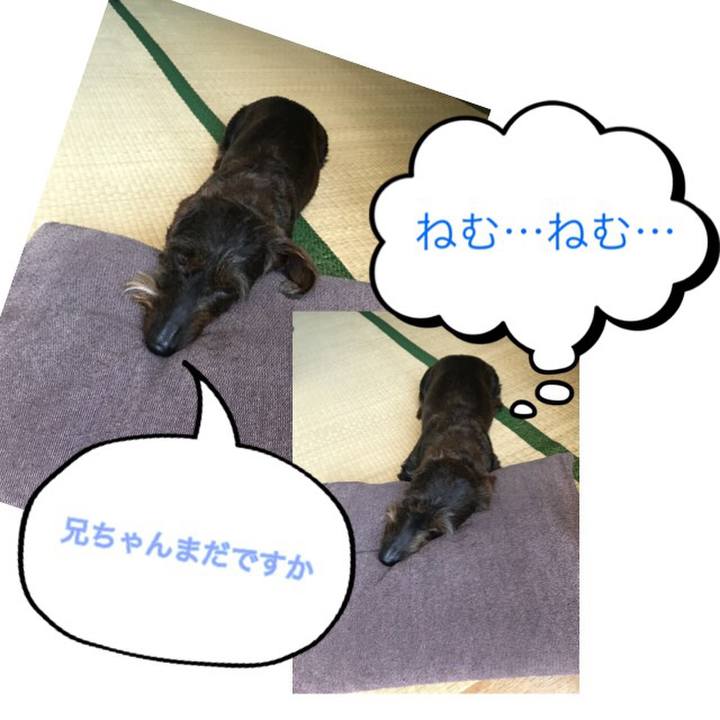 71543a3e 1630 4e9e bab7 aa29006e170f 1529114012174