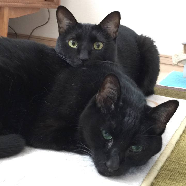 71544fbd 9766 468f 9203 2d2173c6f67f 1512874630861