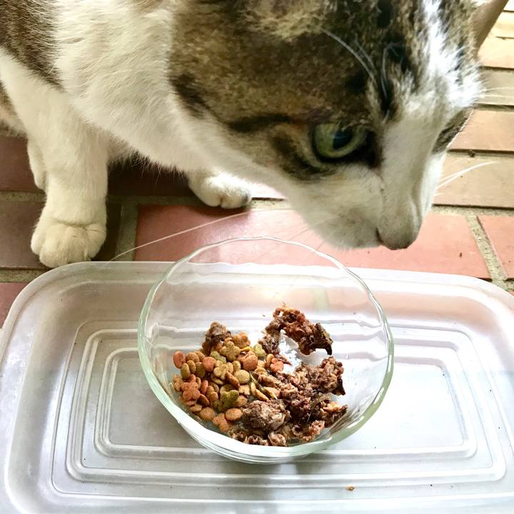 71545ace cb30 41eb a6e6 cb994a102378 1559203594646