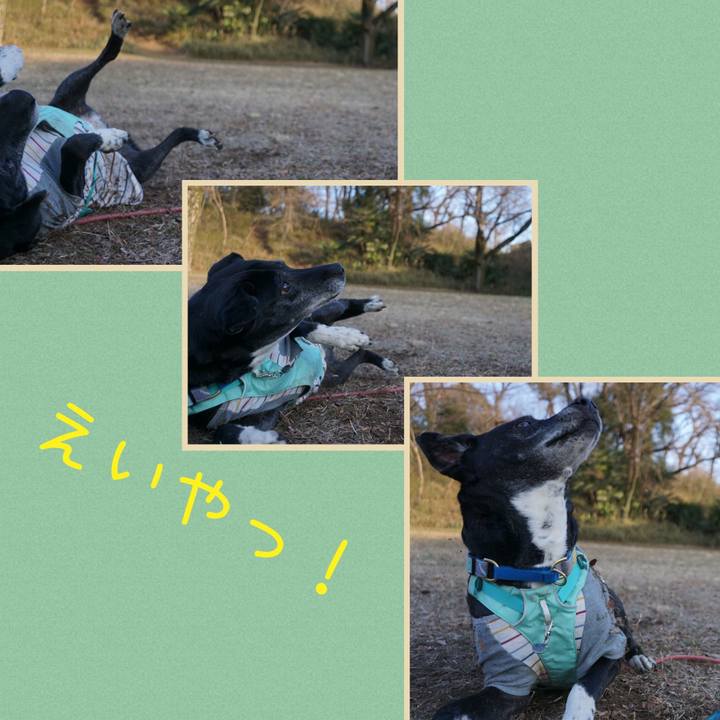 71547267 91b0 42eb 84b1 d19fff69a202 1769821485544