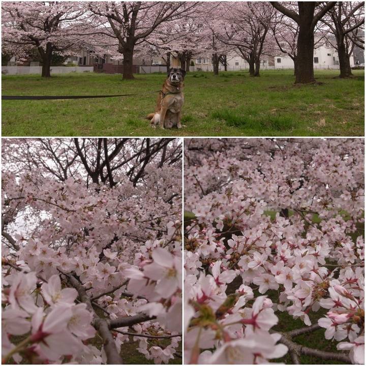 715488a6 d8f5 42a3 9ada b7441645e7c6 1585089005844