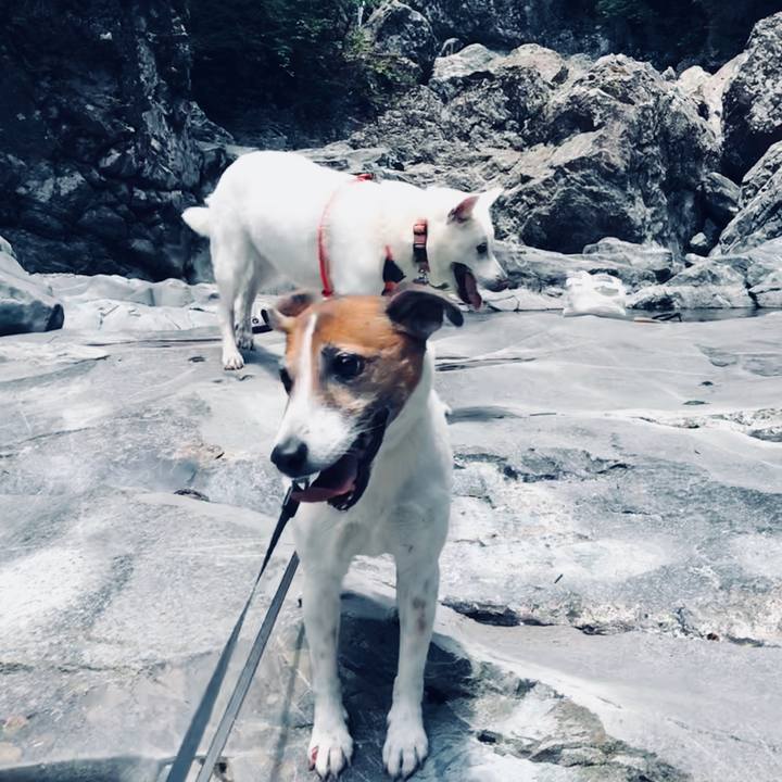 715496c7 72bb 4644 9d86 dd7e3e9637f4 1528028986698