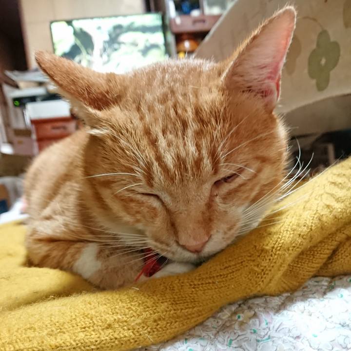 7154ee93 408f 4faf 8434 e14d58199efc 1570320349208