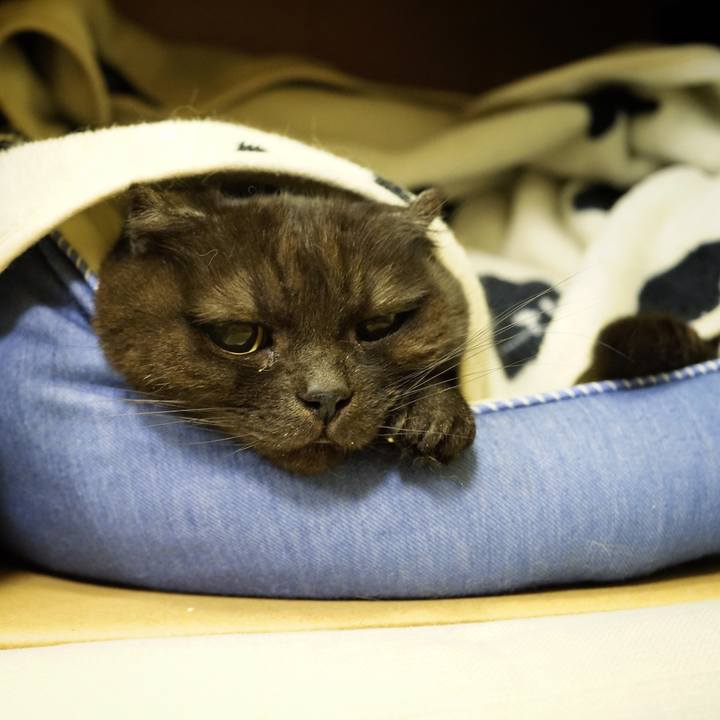 71552692 691d 4fc3 be80 7d787ec80bfe 1645713788676