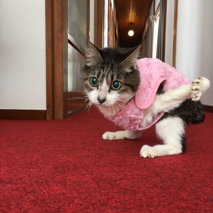 71554c5b 4e3c 4a29 b50b d61a9e82422d 1638309492139