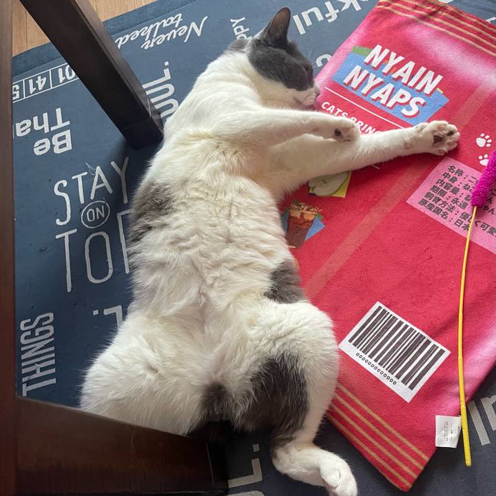 715565e8 2e88 408b be91 a554b114e1c3 1718318099483