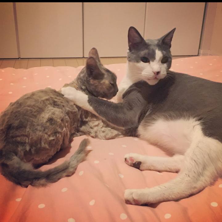 71558759 e7b6 4fc7 85a2 73c0c264488b 1507813879337