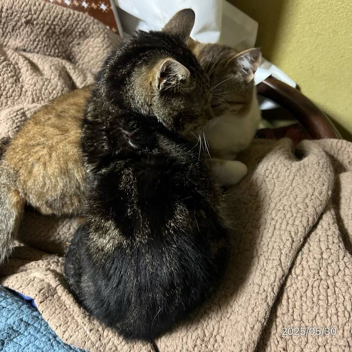 71559037 cbad 4ffb 919f c674001469d2 1748556212348