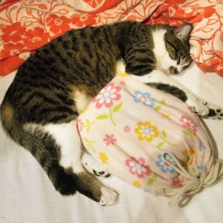 7156056f 871e 478b bee7 a7662392213d 1764775836089