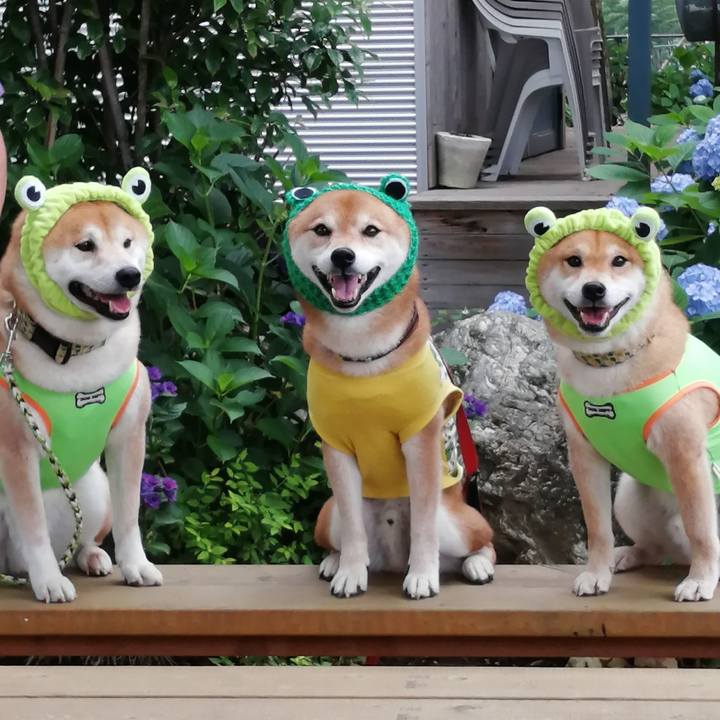 715662e8 6229 406d 962e a67042816aff 1655567887612