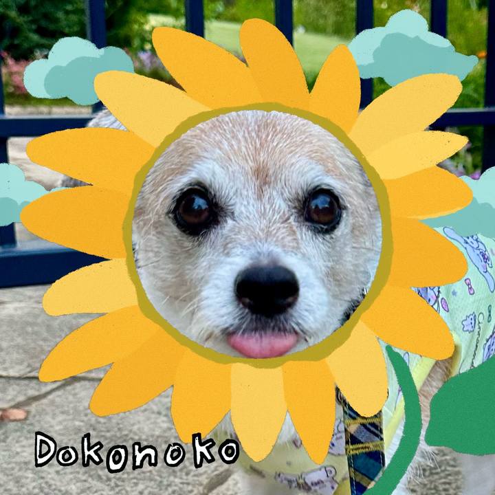 715670d1 c6c6 4c60 9d93 2149578bc48b 1723245306085