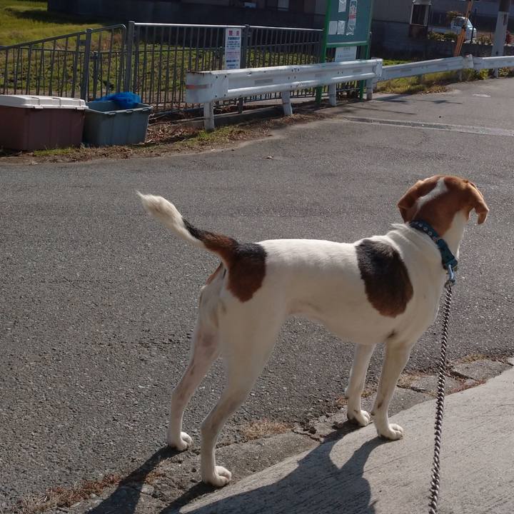 71567c0c 4217 41ae b366 cf65a0f26467 1605582737670