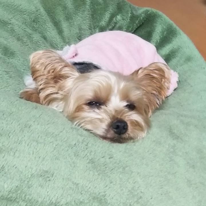 7156d7c1 5cef 47ab b6c8 394cfbba34b4 1669295431008