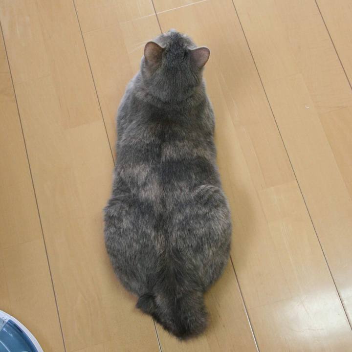 7156f0f3 1fe4 4738 a8bb 2e77b25c5819 1529652291236