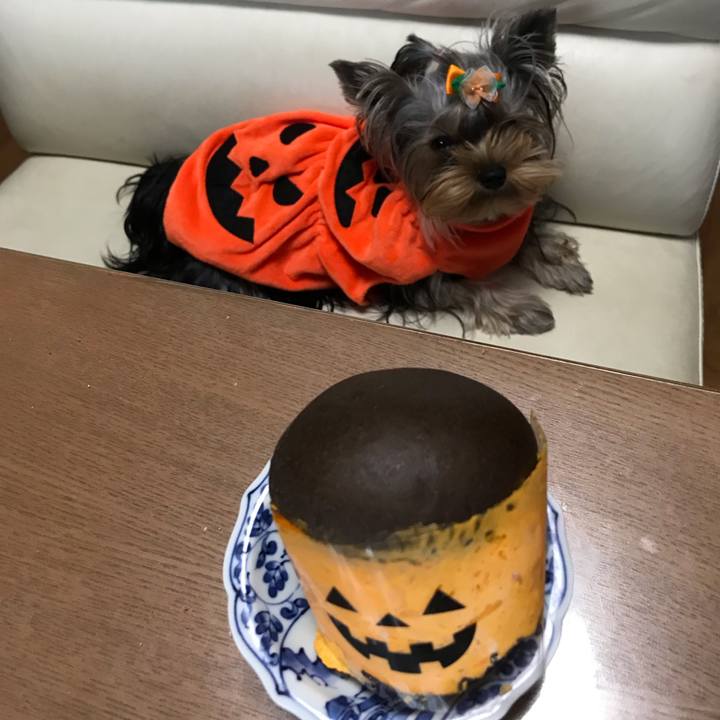 7156fa1c aa02 4134 9772 23450a3a9fc5 1634361799698