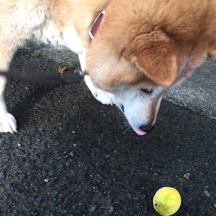 71572764 84e0 49a6 a6e8 3931c90c89c9 1527851453777