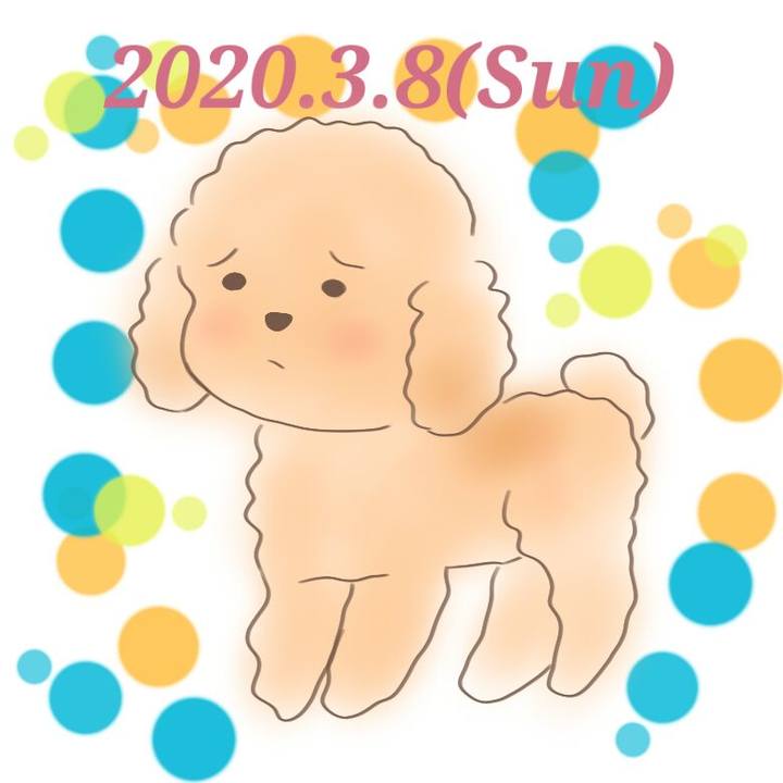 715727e2 577e 47b2 854d 049c9f057e53 1583676726389