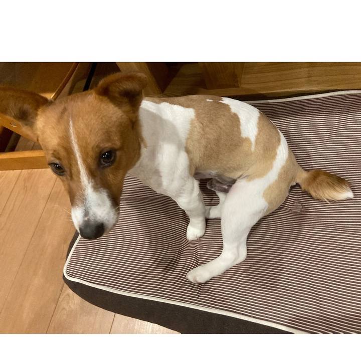 715729f7 2e7e 4040 9e67 5969765c93fa 1613388245415