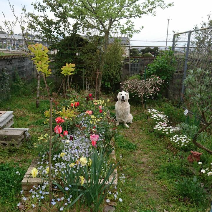 71573272 82ca 4231 be1d 3565a9021ac1 1555165922319