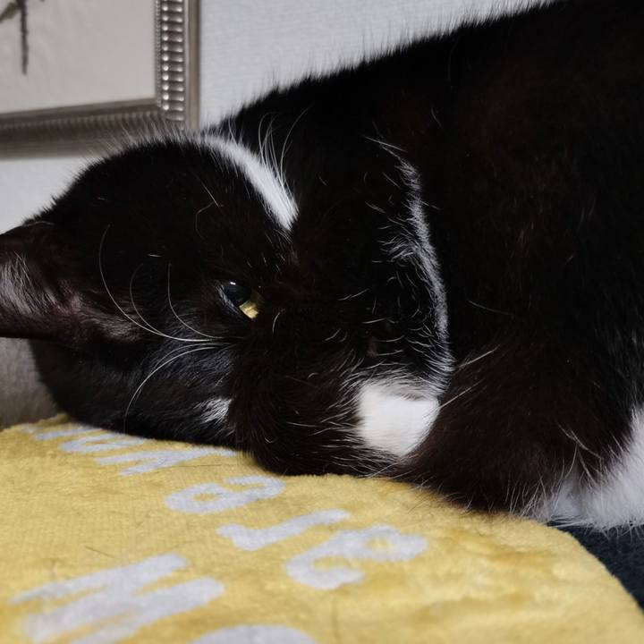 71574acf 9dcc 468a b76e 51cfaffba702 1708487956225