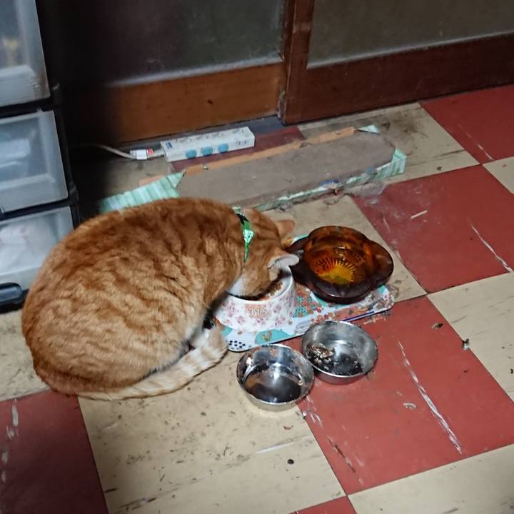 7157505d 00c8 4bf6 8844 2a733b096199 1580154673512